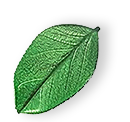 https://new.haloclean.pl/wp-content/uploads/2025/07/floating_leaf_01.png
